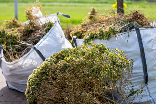 Best Affordable Junk Removal Services  in Applewood, CO